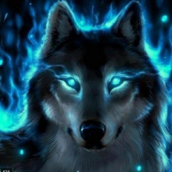 Meet your Posher, Alexander - Picture 1 of 1